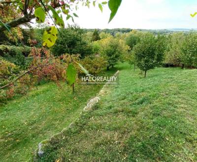 Kaufen Garten, Bratislava - Devín, Slowakei