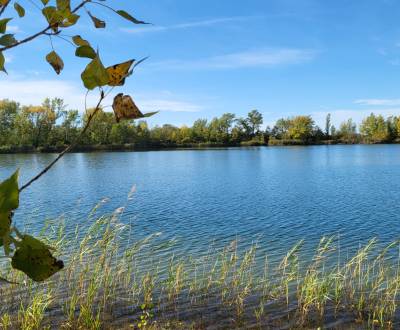 Bauträger aufgepasst: Bauland mit Teich 193.000 m2 in Hédervár