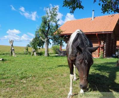 Kaufen Ferienhaus, Ferienhaus, Krupina, Slowakei