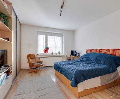 Geräumige 1-Zimmer-Wohnung zur Miete in Bratislava – Nové Mesto