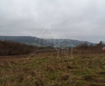 Kaufen landwirtsch. Grundstücke, landwirtsch. Grundstücke, Humenné, Sl