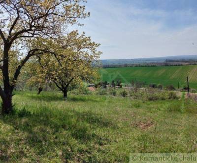 Kaufen Garten, Garten, Nové Zámky, Slowakei