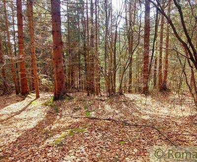 Kaufen Baugrundstück Erholung, Baugrundstück Erholung, Brezno, Slowake