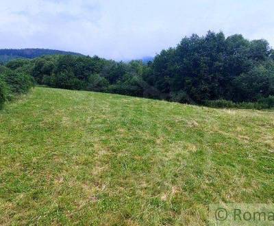 Kaufen landwirtsch. Grundstücke, landwirtsch. Grundstücke, Brezno, Slo