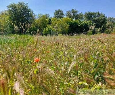 Kaufen landwirtsch. Grundstücke, landwirtsch. Grundstücke, Komárno, Sl