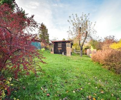 KOŠICE/NORD CITY – Ein wunderschöner Garten in Kontakt mit der Stadt