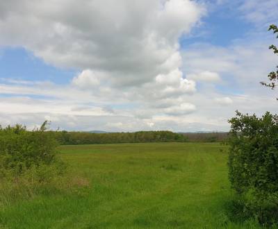 Kaufen landwirtsch. Grundstücke, landwirtsch. Grundstücke, Pezinok, Sl