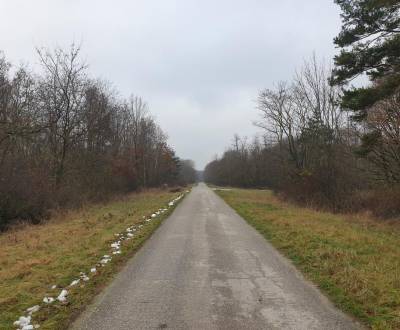 Kaufen landwirtsch. Grundstücke, landwirtsch. Grundstücke, Pezinok, Sl