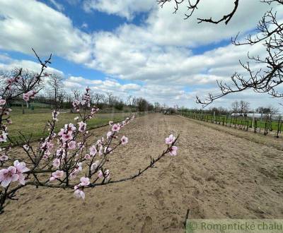 Kaufen Garten, Garten, Komárno, Slowakei