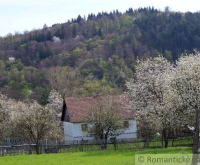 Kaufen Einfamilienhaus, Einfamilienhaus, Detva, Slowakei