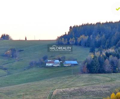 Kaufen Einfamilienhaus, Detva, Slowakei