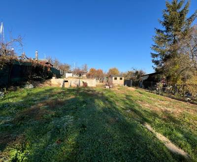 Kaufen Garten, Garten, Alejová, Košice - Juh, Slowakei