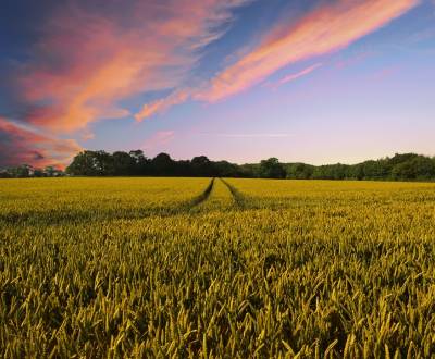 Kaufen landwirtsch. Grundstücke, landwirtsch. Grundstücke, Galanta, Sl