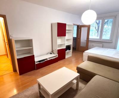 Mieten 1-Zimmer-Wohnung, 1-Zimmer-Wohnung, Bagarova, Bratislava - Dúbr