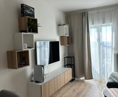 Mieten 2-Zimmer-Wohnung, 2-Zimmer-Wohnung, Labutia, Bratislava - Petrž