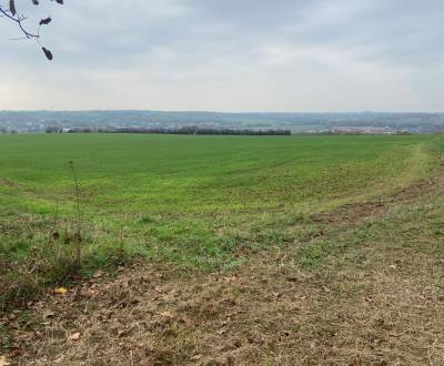 Kaufen Weinberg, Weinberg, Zadná hora - Vinice, Levice, Slowakei