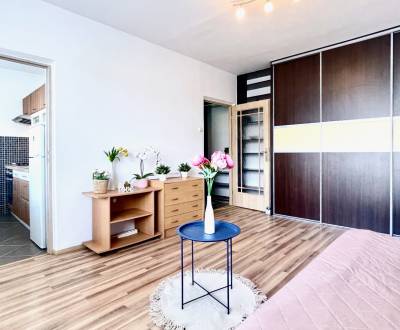 Kaufen 1-Zimmer-Wohnung, 1-Zimmer-Wohnung, Kafendova, Bratislava - Rač