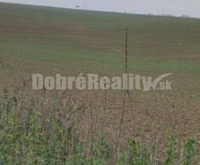 Kaufen landwirtsch. Grundstücke, landwirtsch. Grundstücke, Na Dolinu, 