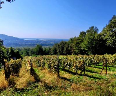 Kaufen Weinberg, Weinberg, Michalovce, Slowakei