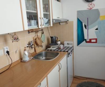 Kaufen 1-Zimmer-Wohnung, 1-Zimmer-Wohnung, Bieloruská, Bratislava - Po