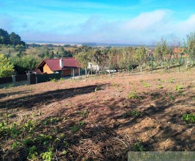 Kaufen Garten, Garten, Nové Mesto nad Váhom, Slowakei