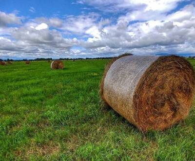 Kaufen landwirtsch. Grundstücke, landwirtsch. Grundstücke, Sobrance, S