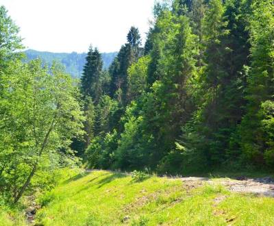 Kaufen landwirtsch. Grundstücke, landwirtsch. Grundstücke, Gelnica, Sl