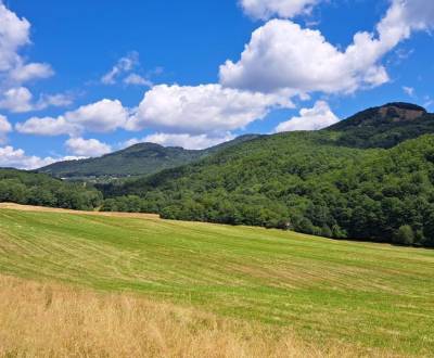 Kaufen landwirtsch. Grundstücke, landwirtsch. Grundstücke, Bardejov, S