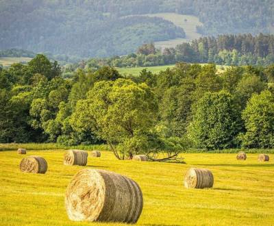 Kaufen landwirtsch. Grundstücke, landwirtsch. Grundstücke, Revúca, Slo