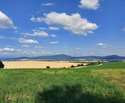 Kaufen landwirtsch. Grundstücke, landwirtsch. Grundstücke, Topoľčany, 