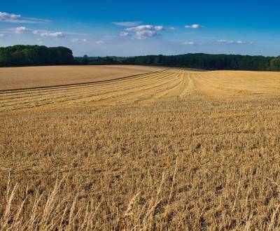 Kaufen landwirtsch. Grundstücke, landwirtsch. Grundstücke, Partizánske