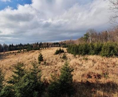 Kaufen landwirtsch. Grundstücke, landwirtsch. Grundstücke, Prievidza, 