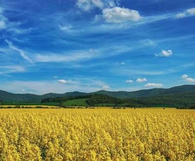 Kaufen landwirtsch. Grundstücke, landwirtsch. Grundstücke, Nitra, Slow