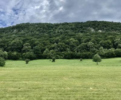 Kaufen landwirtsch. Grundstücke, landwirtsch. Grundstücke, Rožňava, Sl