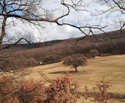 Kaufen landwirtsch. Grundstücke, landwirtsch. Grundstücke, Svidník, Sl