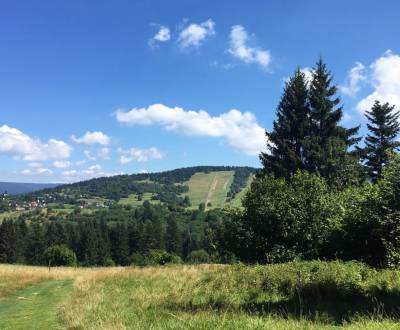 Kaufen landwirtsch. Grundstücke, landwirtsch. Grundstücke, Svidník, Sl