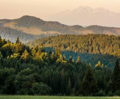 Kaufen landwirtsch. Grundstücke, landwirtsch. Grundstücke, Svidník, Sl