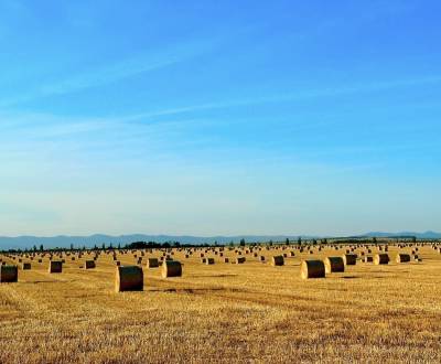 Kaufen landwirtsch. Grundstücke, landwirtsch. Grundstücke, Levice, Slo