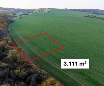 Kaufen landwirtsch. Grundstücke, landwirtsch. Grundstücke, Košice - Kr