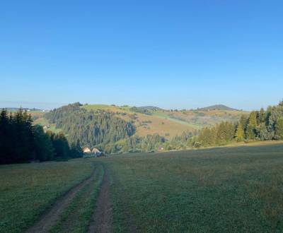 Kaufen landwirtsch. Grundstücke, landwirtsch. Grundstücke, Detva, Slow