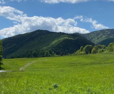 Kaufen landwirtsch. Grundstücke, landwirtsch. Grundstücke, Brezno, Slo