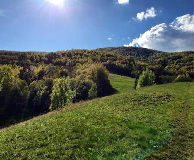 Kaufen landwirtsch. Grundstücke, landwirtsch. Grundstücke, Revúca, Slo