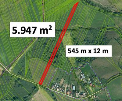 Kaufen landwirtsch. Grundstücke, landwirtsch. Grundstücke, Rimavská So