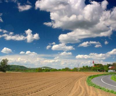 Kaufen landwirtsch. Grundstücke, landwirtsch. Grundstücke, Trebišov, S