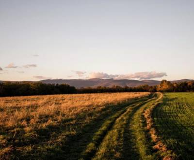 Kaufen landwirtsch. Grundstücke, landwirtsch. Grundstücke, Košice-okol