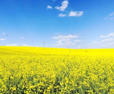 Kaufen landwirtsch. Grundstücke, landwirtsch. Grundstücke, Veľký Krtíš