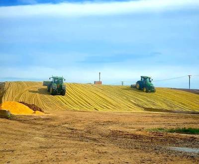 Kaufen landwirtsch. Grundstücke, landwirtsch. Grundstücke, Michalovce,