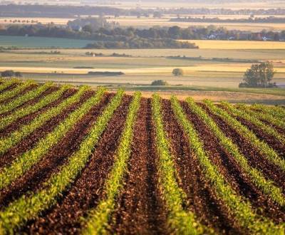 Kaufen landwirtsch. Grundstücke, landwirtsch. Grundstücke, Rimavská So