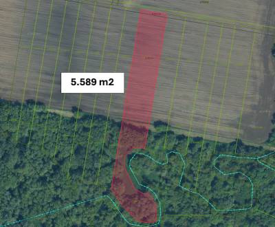 Kaufen landwirtsch. Grundstücke, landwirtsch. Grundstücke, Nové Zámky,