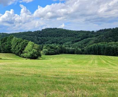 Kaufen landwirtsch. Grundstücke, landwirtsch. Grundstücke, Krupina, Sl